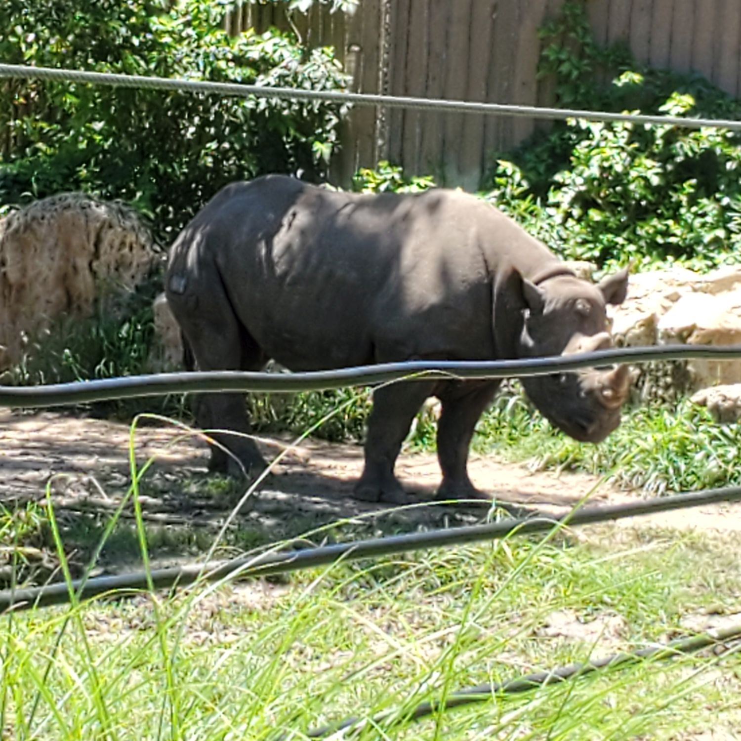 Sedgwick County Zoo 